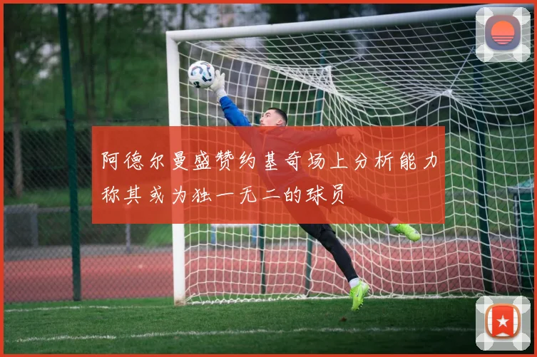 阿德尔曼盛赞约基奇场上分析能力称其或为独一无二的球员