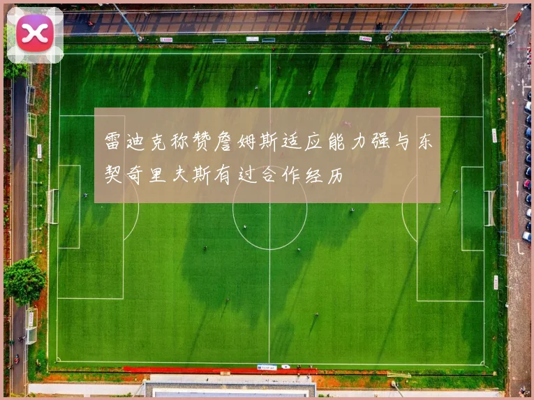 雷迪克称赞詹姆斯适应能力强与东契奇里夫斯有过合作经历