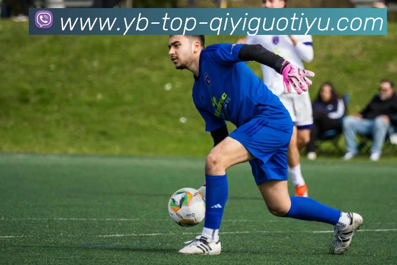 奇异果体育平台生态图