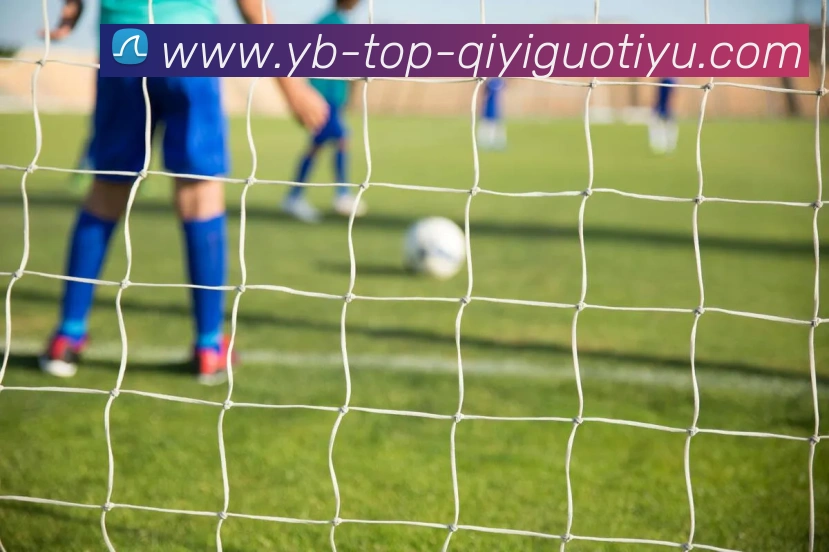 数据防护可视化